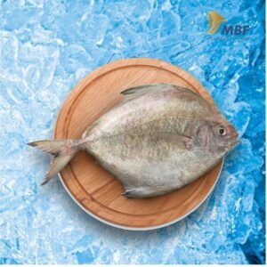 ikan bawal hitam