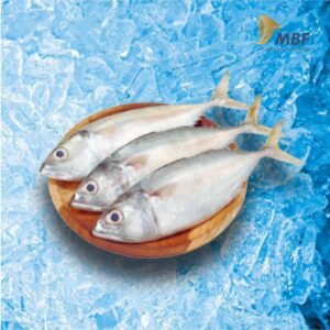 ikan layang/kembung
