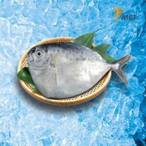 ikan semar